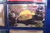 karta telefoniczna magnetyczna nr.1230