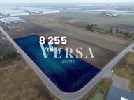 Działka, Wypędy, Raszyn, Pruszkowski, 8255 m²