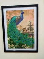 Piękny paw - Haft Diamentowy