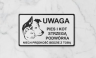 Tabliczka uwaga pies Border collie + Kot Srebrna, złota duży wybór wzorów