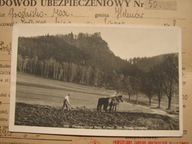 Chojnik / Kynast - stara pocztówka / rolnik , konie