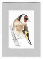 szczygieł, ptaki Polski, akwarela z passe-portout, oryginał