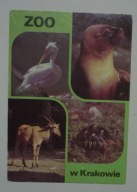 KRAKÓW - ZOO - PELIKAN UCHATKA ANTYLOPA ŻÓŁW