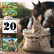 Owies paszowy ziarno 20kg - prosto od rolnika