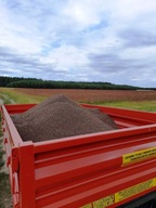 Gryka | SMUGA | 25 kg |nasiona | miododajna | Paczkomat 0 zł