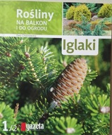 Iglaki Rośliny na balkon i do ogrodu CHOJNOWSKA