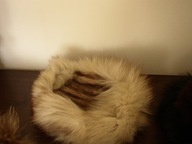 Czapka toczek z lisa naturalnego jasna szara