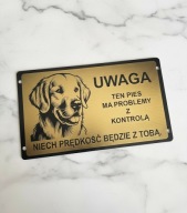 Tabliczka uwaga pies Labrador retriever złota duży wybór wzorów