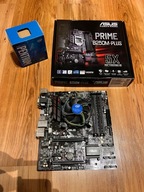 Płyta główna Micro ATX ASUS PRIME B250M-PLUS plus Intel G4560
