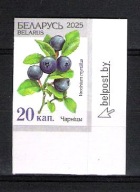 Białoruś 2025, zn. CIĘTY, Dzika Przyroda Białorusi, flora, borówka czarna