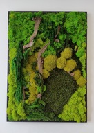 Obraz z mchu i roślin stabilizowanych 50x70 w ramie drewnianej czarny dąb