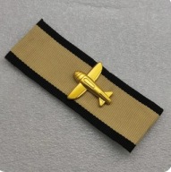 Odznaka za zniszczenie 5 samolotów WH SS