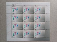 4299 ** ark. ME w piłce siatkowej kobiet / 2009