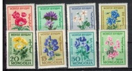01-Fil10- Mongolia-Kwiaty ogrodowe,