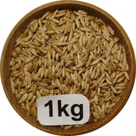 Owies Bezłuskowy, Nagi, 1kg, 2025r
