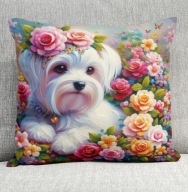 Poduszka 40/40cm Maltańczyk Maltese