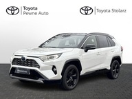 Toyota RAV4 2.5 Hybrid Selection 4x2 V (2018-) Toy