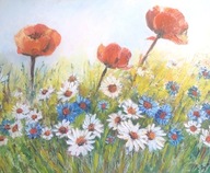 łaka - maki rumianki chabry