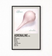 Plakat A4 z ramką DEFTONES "ADRENALINE" 21x29,7cm