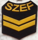 OZNAKA SZEFA KOMPANII wojsk marynarki III stop. or