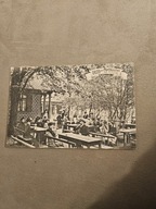 Elbląg Plebanka ul Wschodnia Leśniczówka Dębica 1909