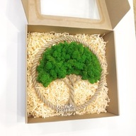 Drzewko Szczęścia Chrobotek, oryginalny prezent na każdą okazję