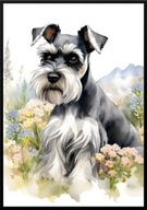 A2 59,4x42 PLAKAT OBRAZ AKWARELA, PIES RASA SZNAUCER MINIATUROWY 4