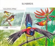 Malediwy 2018 ** cena 12,50 zł kat.4,50€ (3) - ptaki