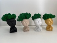 Doniczka betonowa z chrobotkiem, dekoracja, prezent