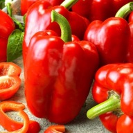 Nasiona papryki Premium Seeds Granova 0,5g