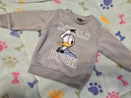 Bluza kaczor donald