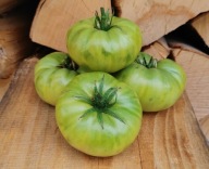 Pomidor GREEN GIANT kolekcjonerskie nasiona pomidorów