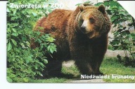 Karta nr. 1034 Niedzwiedz