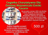 Cegiełka Charytatywna Dla Dzielnej Wojowniczki 500 zł Dla Emilki Favarin