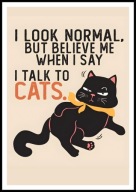 A2 ŚMIESZNY PLAKAT Z CZARNYM KOTEM KOT, HUMOR, I LOOK NORMAL BUT BELIEVE ..