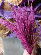 proso naturalne suszone fuksja trawy zboże kwiaty kompozycje bukiety