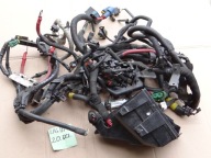 WIĄZKA SILNIKA RENAULT LAGUNA III 2,0 DCI