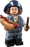 LEGO 71022 SERIA HARRY POTTER - TINA GOLDSTEIN