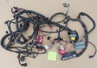 WIĄZKA SILNIKA RENAULT SCENIC II 1,9 DCI AUTOMAT 8200661005