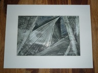 LUCYNA KUŚNIERCZYK - "Kompozycja biało-czarna" - rysunek/technika własna