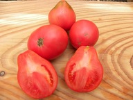 Pomidor Krymskaja Roza malinówka ukraińska nasiona kolekcjonerskie