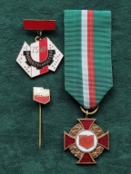 Odznaka Za Zasługi dla ZSMP