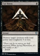 Cut Down "DMU" =stdt= FOIL