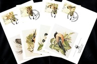 Portugalia Azory - 4 Koperty FDC / 384-387 ( WWF - Fauna - Ptaki ) 1990 r.
