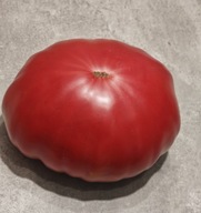 Pomidor Da Costa's, Portuguese (496) nasiona kolekcjonerskie