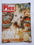 Przyjaciel Pies magazyn Terrier Szkocki nr 10 2013