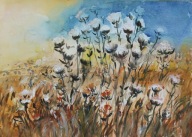 Łąka trawy kwiaty akwarela Akwarela Sabina Salamon 25x35