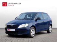 Skoda Fabia Active 1.2TSI 105KM DSG Salon PL FV-Marza 1.2 104KM