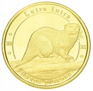 Ukraina - 1 złotnik Wydra europejska (2021)