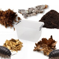 Zestaw startowy dla isopodów równonogów 2l